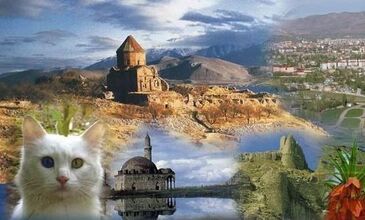 YATAKLI TURİSTİK DOĞU EKSPRESİ  ile VAN - KARS -DOĞU BEYAZIT-ERZURUM ANKARA  (4 GECE KONAKLAMALI)