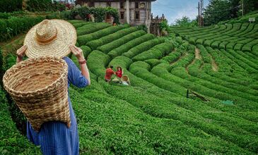 KUZEY YILDIZI KARADENİZ TURU  BATUM KONAKLAMALI 6 GÜN - 5 GECE 