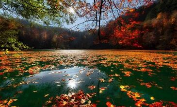 ABANT - YEDİ GÖLLER - AĞVA – ŞİLE – POLENEZKÖY - HOBBIT EVLERİ 2 GÜN - 1 GECE