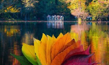 YEDİGÖLLER - BOLU - ABANT - AĞVA - ŞİLE -POLENEZKÖY
