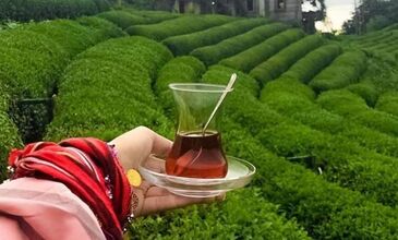 BAŞTAN SONA DOLU DOLU  KARADENİZ (BATUM KONAKLAMALI) 7 GECE 8 GÜN 