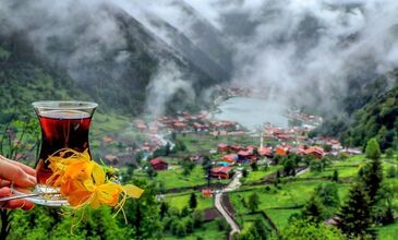 BAŞTAN SONA DOLU DOLU  KARADENİZ (BATUM KONAKLAMALI) 7 GECE 8 GÜN 